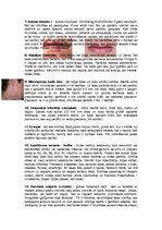 Konspekts 'Ādas slimības, kas skar sejas ādu', 2.