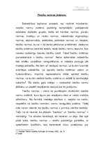 Referāts 'Tiesību normas jēdziens', 1.