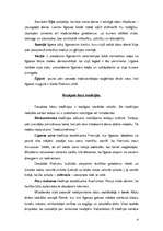 Konspekts 'Kāzas kā kultūras universālija', 4.