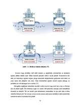 Diplomdarbs 'Kuģu balasta ūdeņu izmešu radītais piesārņojums', 30.