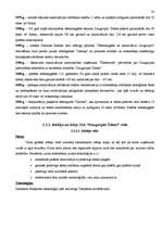 Referāts 'Motivācijas uzlabošanas projekts uzņēmumā', 19.