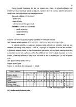 Referāts 'Motivācijas uzlabošanas projekts uzņēmumā', 29.