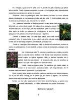 Referāts 'Interjers ir mūsu dzīves stils', 7.