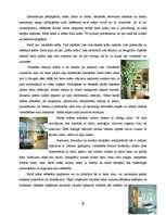 Referāts 'Interjers ir mūsu dzīves stils', 8.