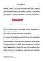 Konspekts 'Reklāmas plānošana. Reklāmas pētīšana', 2.