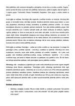 Konspekts 'Reklāmas plānošana. Reklāmas pētīšana', 4.