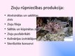 Prezentācija 'Zivsaimniecība un zivrūpniecība Latvijā', 6.