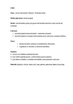 Konspekts '2.klases. Garuma mērvienības. Mērījumi.', 2.