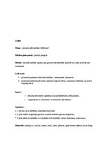 Konspekts '2.klases. Garuma mērvienības. Mērījumi.', 7.