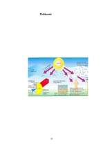 Referāts 'Dabas piesārņojums Latvijā', 10.