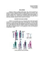 Konspekts 'Gēnu mutācijas, hromosomālās pārveidnes, multifaktoriālās slimības', 1.