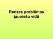 Referāts 'Redzes problēmas jauniešu vidū', 16.