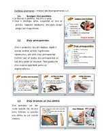 Prezentācija 'Konspekts mājturībā 7.klasei. Zivis', 6.