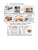 Prezentācija 'Konspekts mājturībā 7.klasei. Zivis', 7.