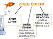 Prezentācija 'Konspekts mājturībā 7.klasei. Zivis', 40.