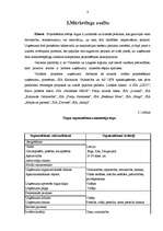 Referāts 'Mārketinga plānošana uzņēmumā', 6.