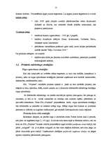 Referāts 'Mārketinga plānošana uzņēmumā', 10.