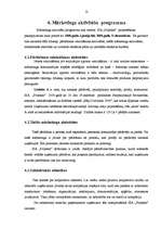 Referāts 'Mārketinga plānošana uzņēmumā', 12.