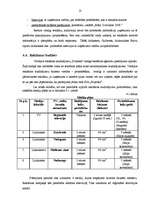 Referāts 'Mārketinga plānošana uzņēmumā', 13.