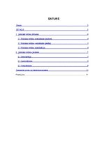Referāts 'Politiskie režīmi', 2.