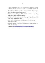 Referāts 'Politiskie režīmi', 11.