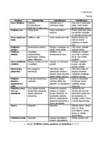 Referāts 'Politiskie režīmi', 13.
