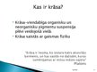 Prezentācija 'Krāsa', 3.