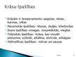 Prezentācija 'Krāsa', 13.