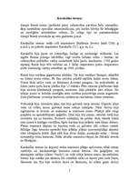 Referāts 'Svētki un izklaides Senajā Romā', 7.