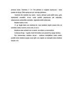 Referāts 'Reklāmas attīstības procesi ASV (18. – 19. gs)', 4.