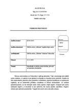 Referāts 'Mācību centra "Nākotne" sagādes daļas iekšējais audits', 22.