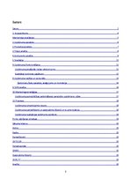 Biznesa plāns 'Biznesa plāns restorānam', 2.