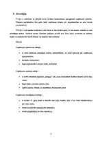 Biznesa plāns 'Biznesa plāns restorānam', 11.