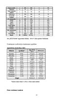 Biznesa plāns 'Biznesa plāns restorānam', 19.