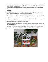 Konspekts 'Spēle - nodarbība ar eksperimentālās darbošanās elementiem bērnu sensorajai attī', 9.