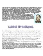 Referāts 'Vācijas apvienošana', 5.