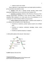 Konspekts 'Uzņēmuma "X" dzīves cikls', 5.