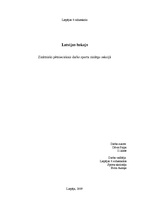 Referāts 'Latvijas hokejs', 1.