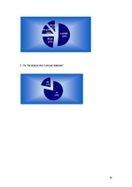 Referāts 'Latvijas hokejs', 38.