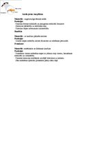 Konspekts 'Auto riepas uzbūve', 2.