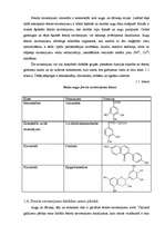 Referāts 'Tēju izejvielas – dabīgie nākotnes antioksidanti?', 6.
