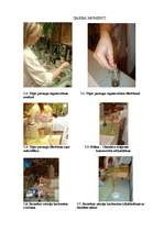 Referāts 'Tēju izejvielas – dabīgie nākotnes antioksidanti?', 19.