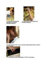 Referāts 'Tēju izejvielas – dabīgie nākotnes antioksidanti?', 20.