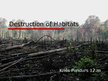 Prezentācija 'Destruction of Habitats', 1.