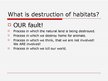 Prezentācija 'Destruction of Habitats', 2.