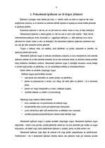 Diplomdarbs 'Mārketinga plāns', 8.