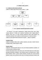 Diplomdarbs 'Mārketinga plāns', 12.