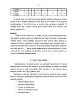 Diplomdarbs 'Mārketinga plāns', 22.