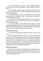 Diplomdarbs 'Mārketinga plāns', 30.