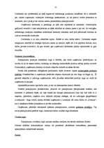 Diplomdarbs 'Mārketinga plāns', 33.